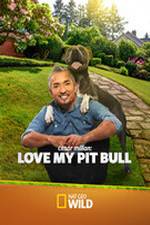 Watch Cesar Millan: Love My Pit Bull Zmovie