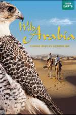 Watch Wild Arabia Zmovie