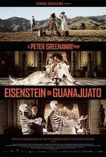 Watch Eisenstein in Guanajuato Zmovie