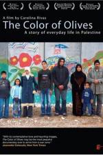 Watch The Color of Olives Zmovie