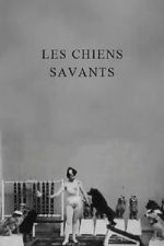 Watch Les chiens savants Zmovie