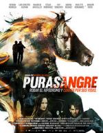 Watch Purasangre Zmovie