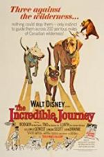 Watch The Incredible Journey Zmovie