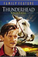 Watch Thunderhead - Son of Flicka Zmovie