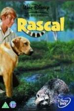 Watch Rascal Zmovie