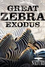 Watch Nature: Great Zebra Exodus Zmovie