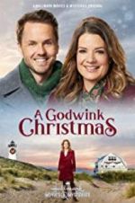 Watch A Godwink Christmas Zmovie