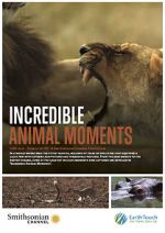 Watch Incredible Animal Moments Zmovie