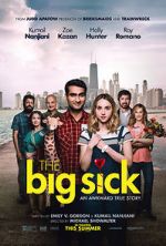 Watch The Big Sick Zmovie