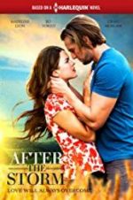 Watch After the Storm Zmovie