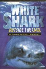 Watch National Geographic white shark:outside the cage Zmovie