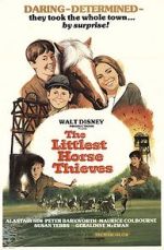 Watch The Littlest Horse Thieves Zmovie