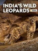 Watch India\'s Wild Leopards (Short 2020) Zmovie