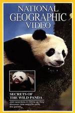 Watch Secrets of the Wild Panda Zmovie