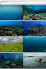 Watch National Geographic: Pacific Ocean Paradise Zmovie