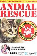 Watch Animal Rescue, Volume 2: Best Cat Rescues Zmovie