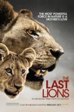 Watch The Last Lions Zmovie