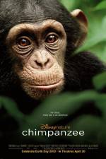 Watch Chimpanzee Zmovie