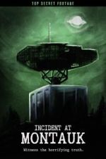 Watch Incident at Montauk Zmovie