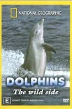 Watch Dolphins: The Wild Side Zmovie