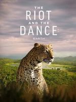 Watch The Riot and the Dance Zmovie