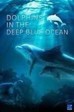 Watch Dolphins in the Deep Blue Ocean Zmovie