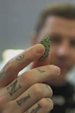 Watch Professor Green: Is It Time to Legalise Weed? Zmovie