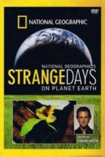 Watch Strange Days On Planet Earth Zmovie
