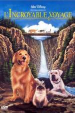 Watch Homeward Bound: The Incredible Journey Zmovie