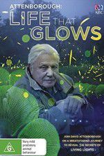 Watch Attenborough\'s Life That Glows Zmovie