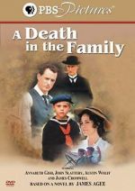 Watch A Death in the Family Zmovie