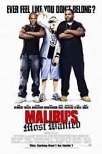 Watch Malibu's Most Wanted Zmovie