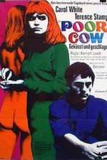 Watch Poor Cow Zmovie