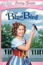 Watch The Blue Bird Zmovie