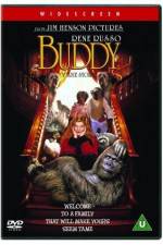 Watch Buddy Zmovie