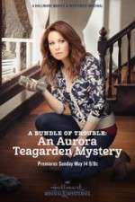 Watch A Bundle of Trouble: An Aurora Teagarden Mystery Zmovie