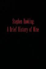 Watch Stephen Hawking A Brief History of Mine Zmovie