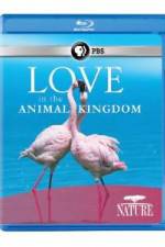 Watch Nature: Love in the Animal Kingdom Zmovie