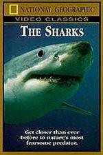 Watch National Geographic The Sharks Zmovie