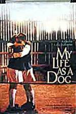 Watch My Life As A Dog Zmovie