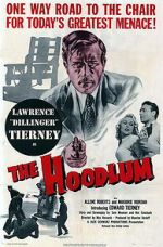 Watch The Hoodlum Zmovie