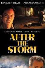 Watch After the Storm Zmovie