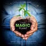 Watch The Magic Plant Zmovie