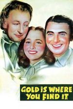 Watch Gold Is Where You Find It Zmovie