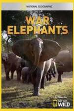 Watch War Elephants Zmovie