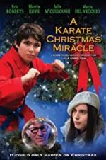 Watch A Karate Christmas Miracle Zmovie