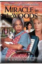 Watch Miracle in the Woods Zmovie