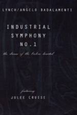 Watch Industrial Symphony No 1 The Dream of the Brokenhearted Zmovie
