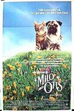 Watch Milo and Otis Zmovie