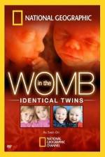 Watch National Geographic: In the Womb - Identical Twins Zmovie